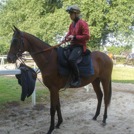 coeur-de-galop-ecurie